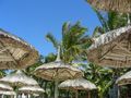 Mauritius - unser Traumurlaub 2008 43065629