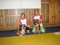 My Dogs Niki, Lilli And Icefairy 10045206