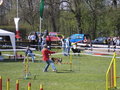 Agility Niki und Lilli 19189339