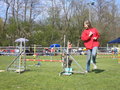 Agility Niki und Lilli 19189341