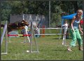 Agility Niki und Lilli 20505166