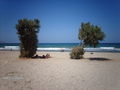 Kreta 2009 65871124