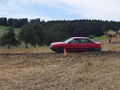 Autocross in Steyregg !!! (12.07.2009) 63464135