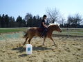 beim reiten 58668723