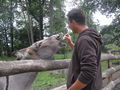 Tierparkbesuche 66757239