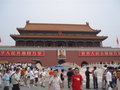 Peking 24388508
