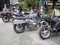 Triumph 2008 40417973