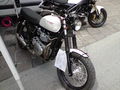 Triumph 2008 40419273