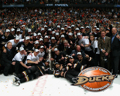 Anaheim Ducks 29508192