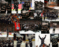 Anaheim Ducks 29508224