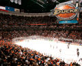 Anaheim Ducks 29508242