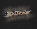 Anaheim Ducks 49690240