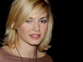 Elisha Cuthbert 11992722