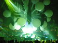 Sensation White Prag 2009 60822048