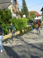 Maibaum 19150421