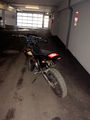 Moped 52968130