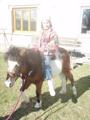 Sweet Horses + dogs !!! 35659754