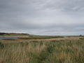 Aberdeen's Beach 67198966