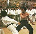 Bruce Lee 14718921