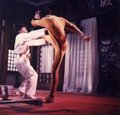 Bruce Lee 14718931