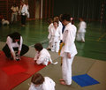 Bambinijudo 10281176