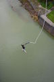 bungee klaus 66431645