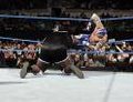 WWE smackdown vs. raw 10354017