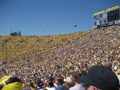 UFM Football Game (Ann Arbor) 30320126