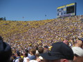 UFM Football Game (Ann Arbor) 30320128