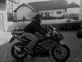 My Schatz-Rexi-Billie-Mopeds usw... 17712846