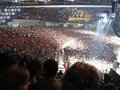 Red Hot Chili Peppers 12300470