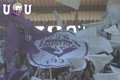 AUSTRIA SALZBURG 30571543