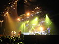 Status Quo Konzert 41021244