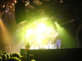 Status Quo Konzert 41021684
