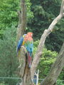 Wiedermal imTierpark Schmieding 43648927