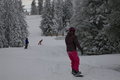 snowboarden 2007 15184089