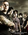 avenged 31245633