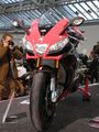 Motorrad Frühling 09 52815478