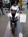 Motorrad Frühling 09 52815637