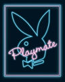 Playboy Bilder 70100129