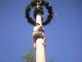 maibaum auFstelLen :D 19145627