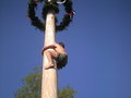 maibaum auFstelLen :D 19145667