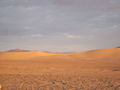 Dumont Dunes 72006841