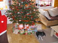 1. Weihnachten mit unserer Babymaus 70508441