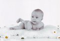 Amelie´s fotoshooting 27464011