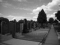 Graveyard 12020746