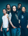 KORN 10898604