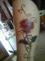 meine tattoos... 48454189