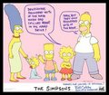 The Simpsons 10737653