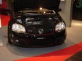 Essen Motorshow 2006 13771747